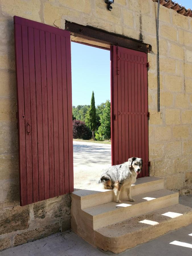 Gite De Charme Au Coeur De L'Entre-Deux-Mers Haux  Esterno foto